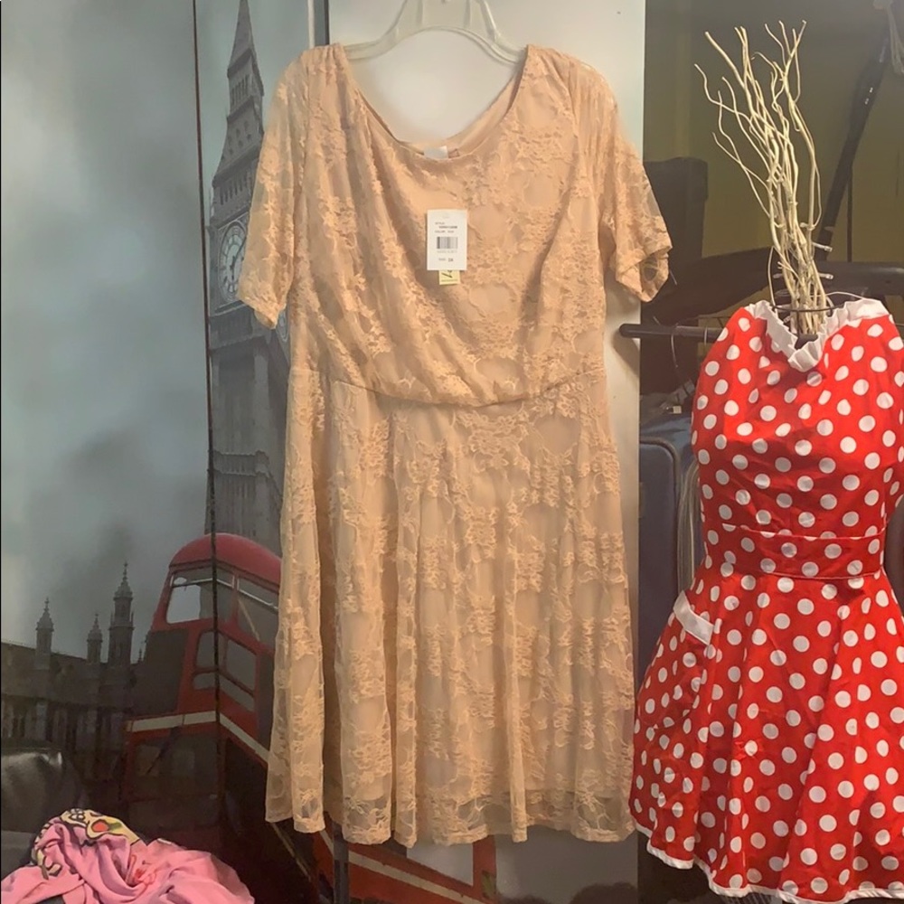 Nude tone lace dress
